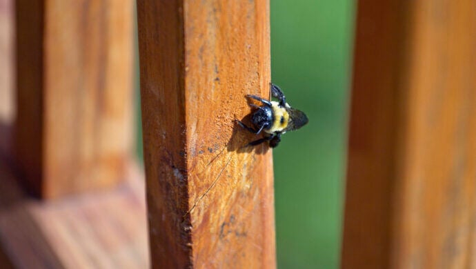 AdobeStock_255039519-690x390