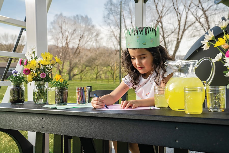Overlook Detail - Lemonade Stand